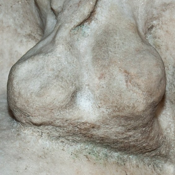 testiculo de estátua 8