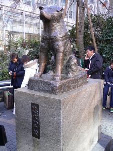 Hachiko estátua