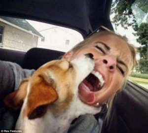 Selfie com cachorro