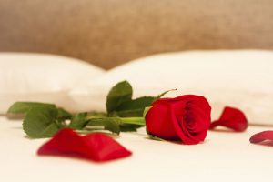 Rosas na cama