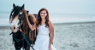 Noiva e cavalo